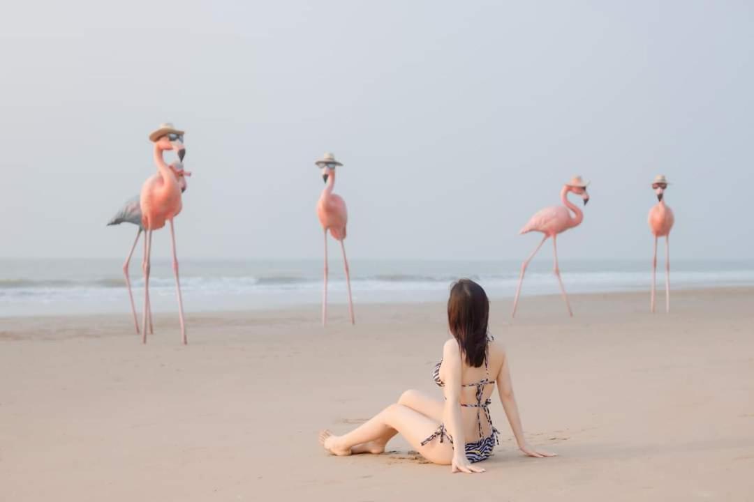Ib306 Tu Doanh - Flamingo Hai Tien Thanh Hoa Екстер'єр фото